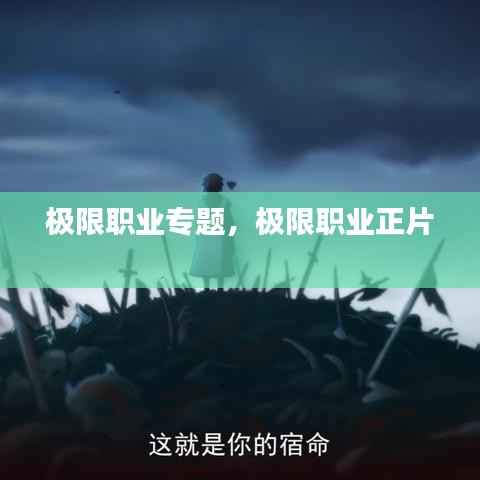 极限职业专题,极限职业正片