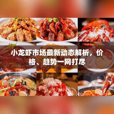 小龙虾市场最新动态解析,价格、趋势一网打尽