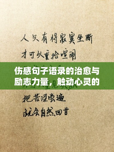 伤感句子语录的治愈与励志力量,触动心灵的温暖话语