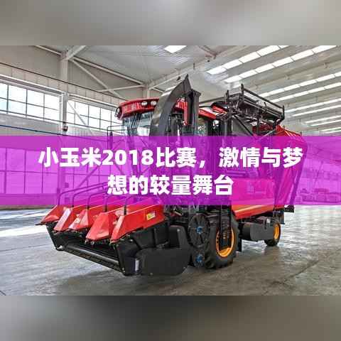 小玉米2018比赛,激情与梦想的较量舞台