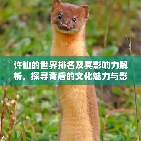 许仙的世界排名及其影响力解析,探寻背后的文化魅力与影响