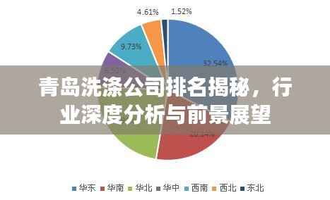 青岛洗涤公司排名揭秘,行业深度分析与前景展望