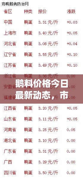鹅料价格今日最新动态,市场行情解析