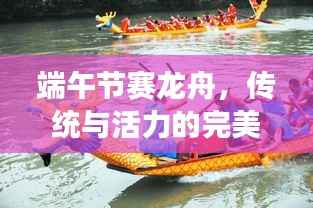端午节赛龙舟,传统与活力的完美交融