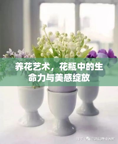 养花艺术,花瓶中的生命力与美感绽放
