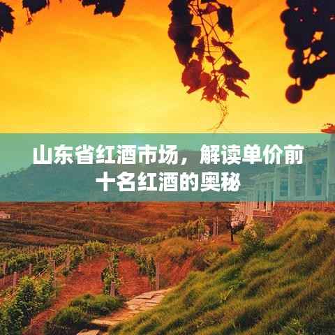 山东省红酒市场,解读单价前十名红酒的奥秘