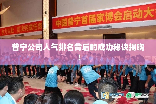 普宁公司人气排名背后的成功秘诀揭晓！