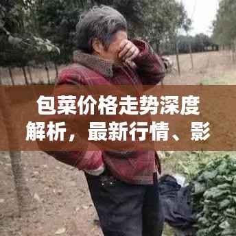 包菜价格走势深度解析,最新行情、影响因素及预测