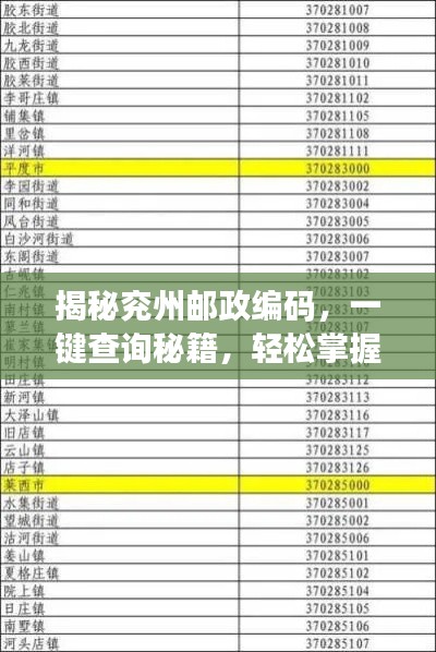 揭秘兖州邮政编码,一键查询秘籍,轻松掌握百度搜索结果