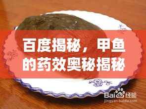 百度揭秘,甲鱼的药效奥秘揭秘!