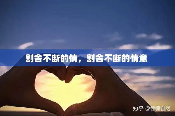 割舍不断的情,割舍不断的情意