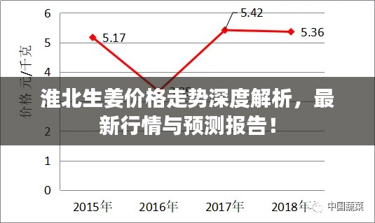 淮北生姜价格走势深度解析，最新行情与预测报告！